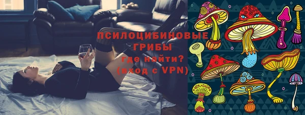 дживик Карпинск
