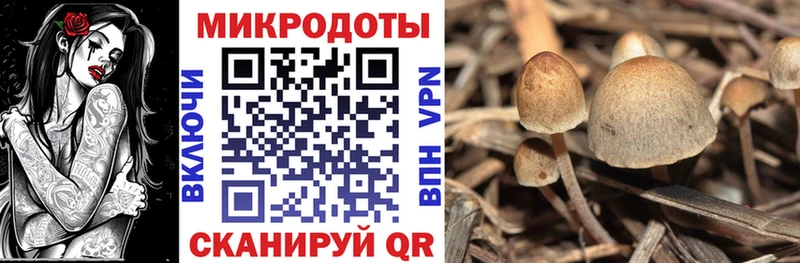 Галлюциногенные грибы ЛСД  Ахтубинск 